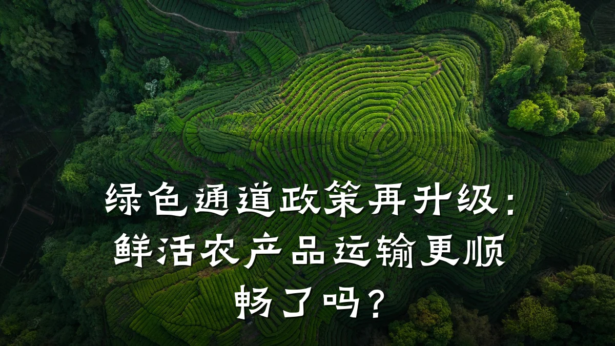绿色通道政策再升级：鲜活农产品运输更顺畅了吗？