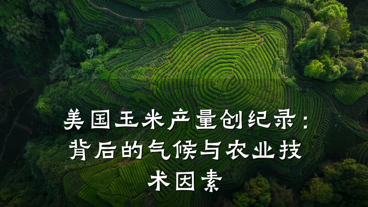 美国玉米产量创纪录:背后的气候与农业技术因素