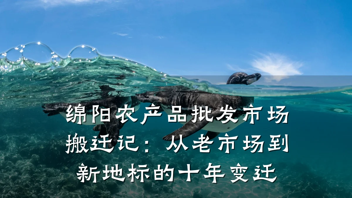 绵阳农产品批发市场搬迁记:从老市场到新地标的十年变迁