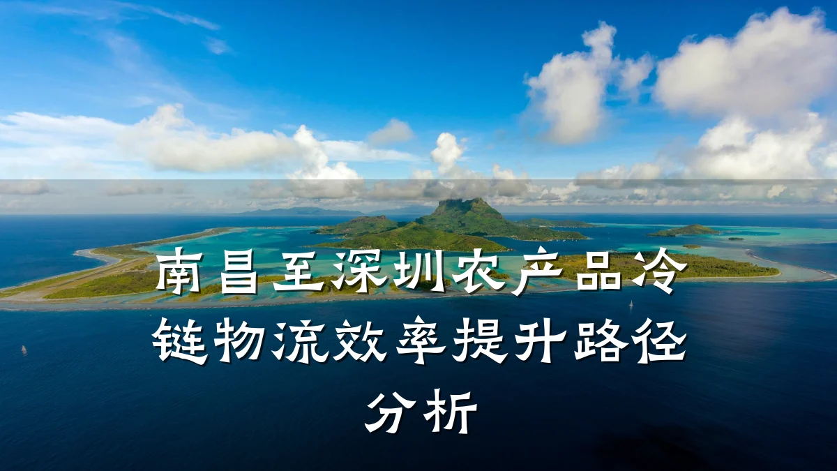 南昌至深圳农产品冷链物流效率提升路径分析
