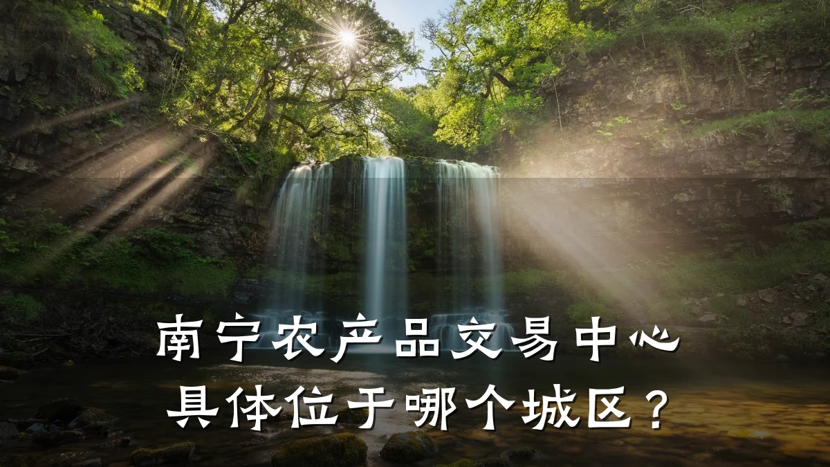 南宁农产品交易中心具体位于哪个城区?