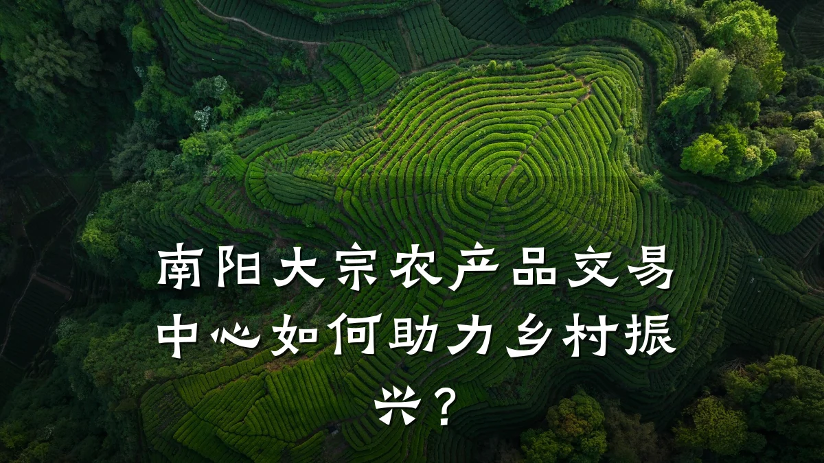南阳大宗农产品交易中心如何助力乡村振兴?