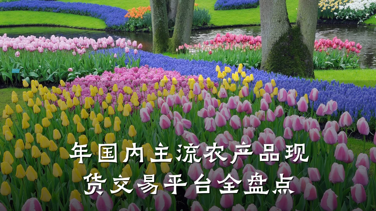 年国内主流农产品现货交易平台全盘点