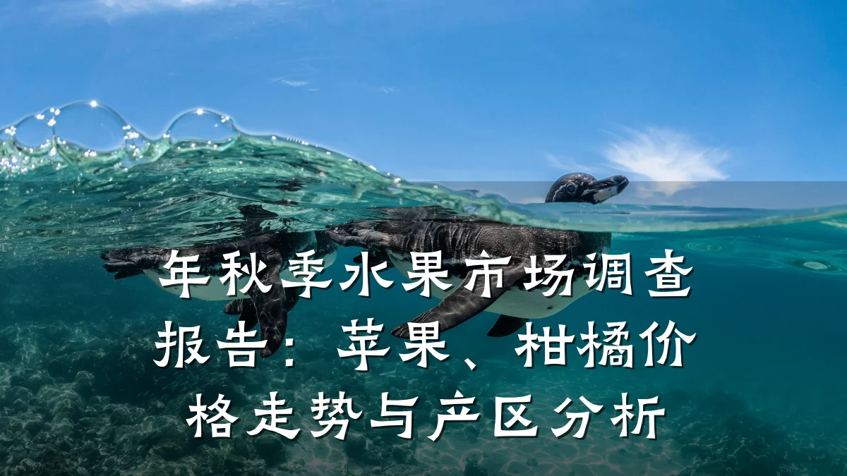 年秋季水果市场调查报告:苹果、柑橘价格走势与产区分析