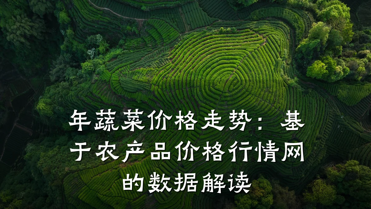 年蔬菜价格走势:基于农产品价格行情网的数据解读
