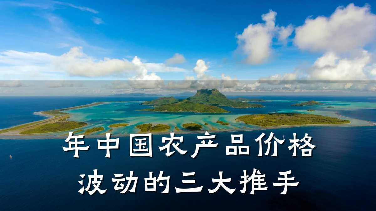 年中国农产品价格波动的三大推手