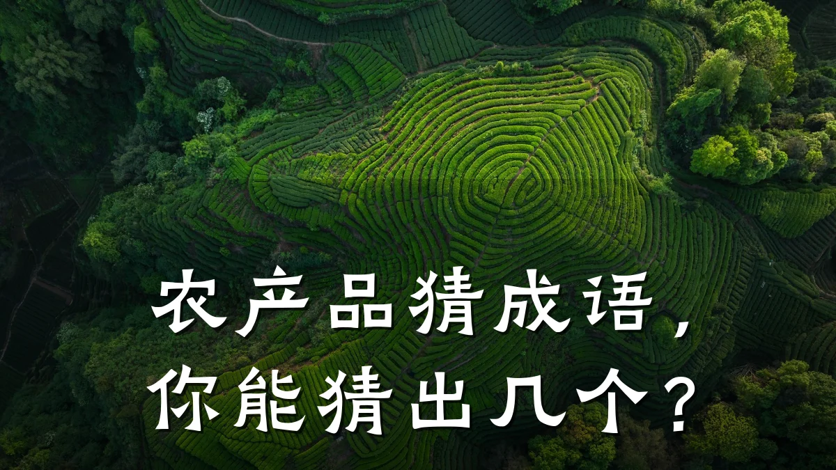 农产品猜成语,你能猜出几个?