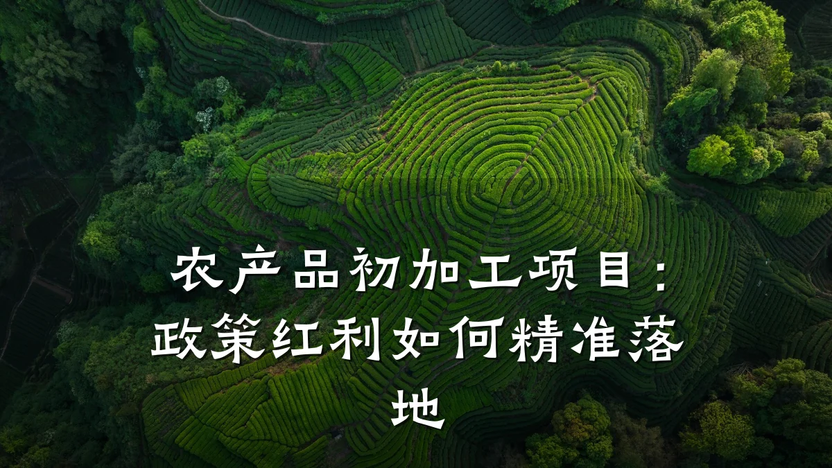 农产品初加工项目:政策红利如何精准落地
