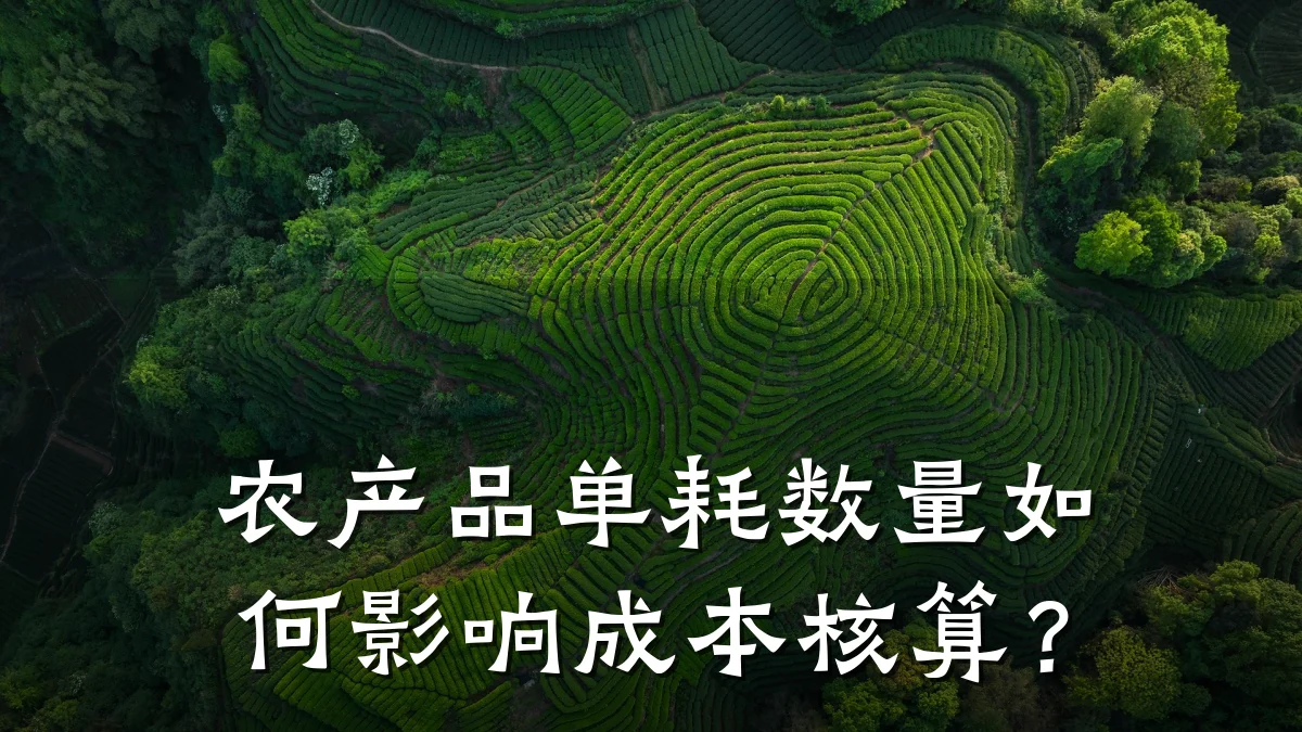 农产品单耗数量如何影响成本核算？