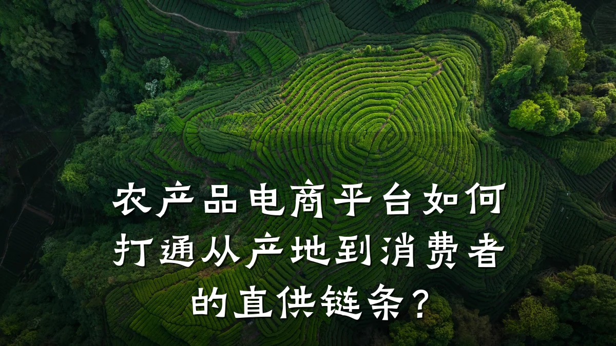 农产品电商平台如何打通从产地到消费者的直供链条?