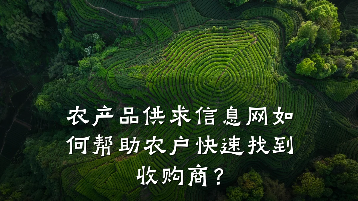 农产品供求信息网如何帮助农户快速找到收购商?