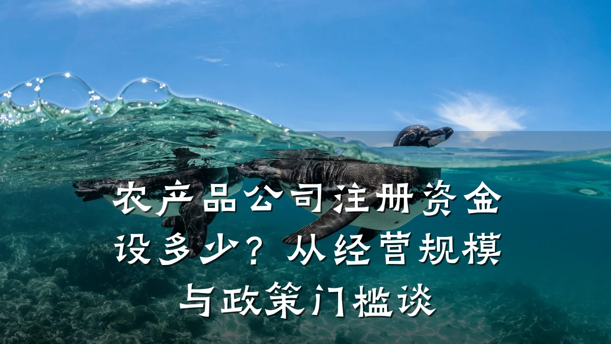 农产品公司注册资金设多少？从经营规模与政策门槛谈