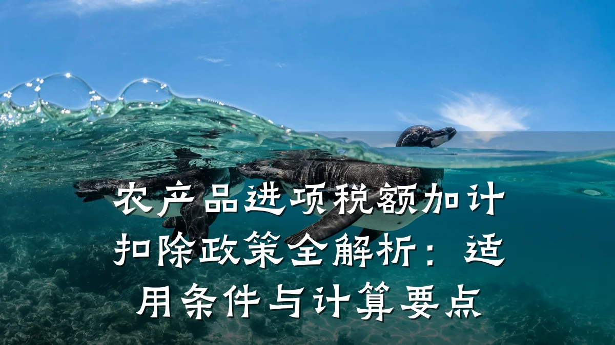 农产品进项税额加计扣除政策全解析:适用条件与计算要点