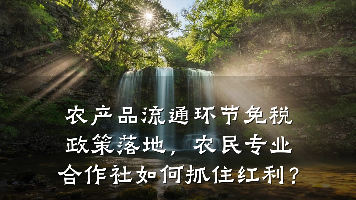 农产品流通环节免税政策落地,农民专业合作社如何抓住红利?