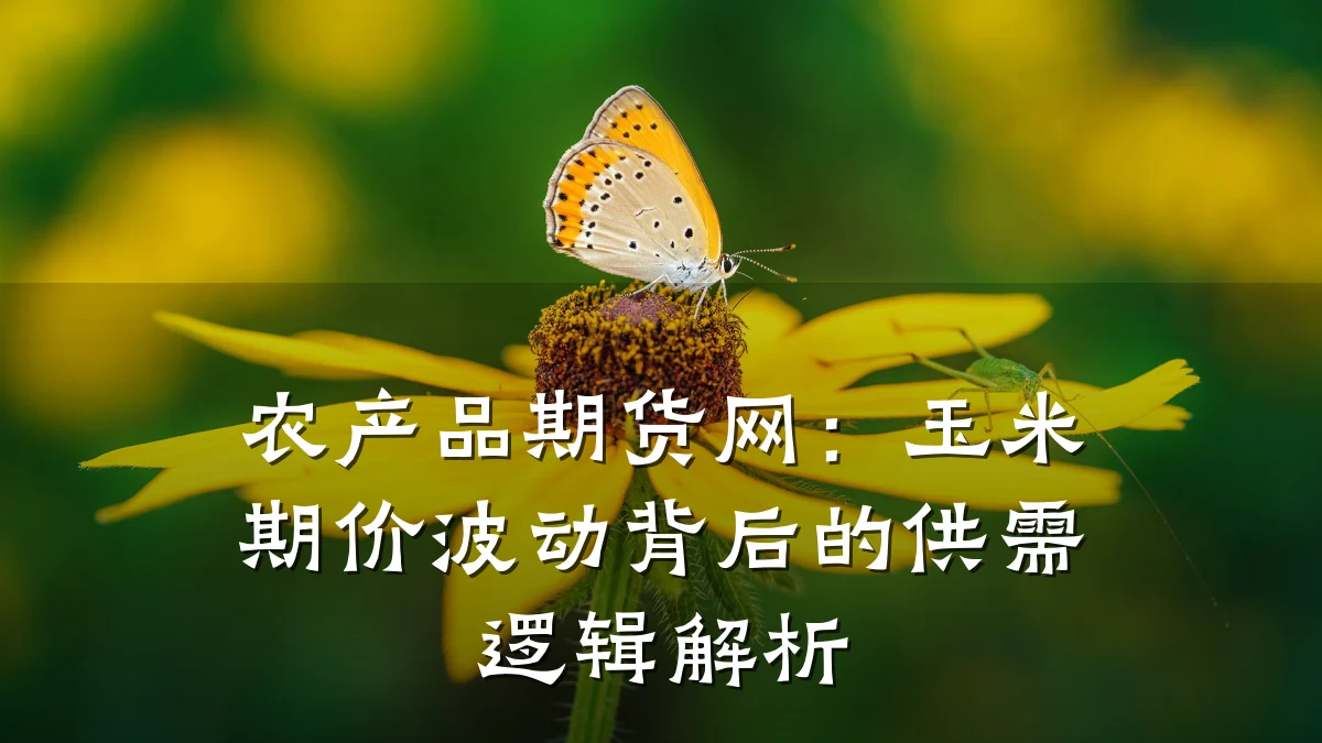 农产品期货网:玉米期价波动背后的供需逻辑解析