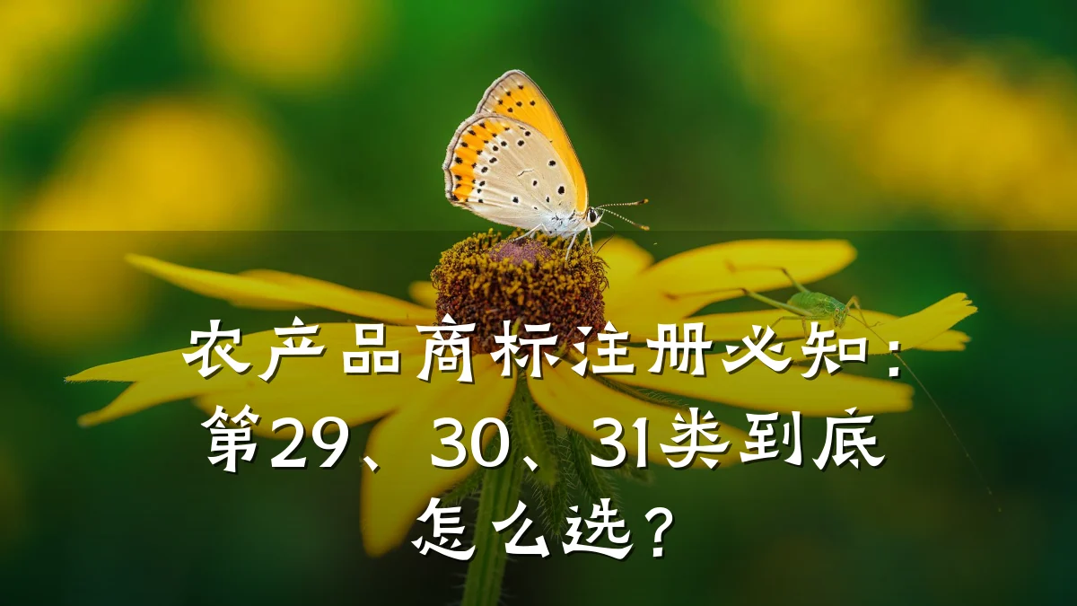 农产品商标注册必知:第29、30、31类到底怎么选?