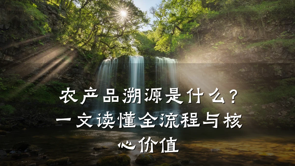 农产品溯源是什么?一文读懂全流程与核心价值