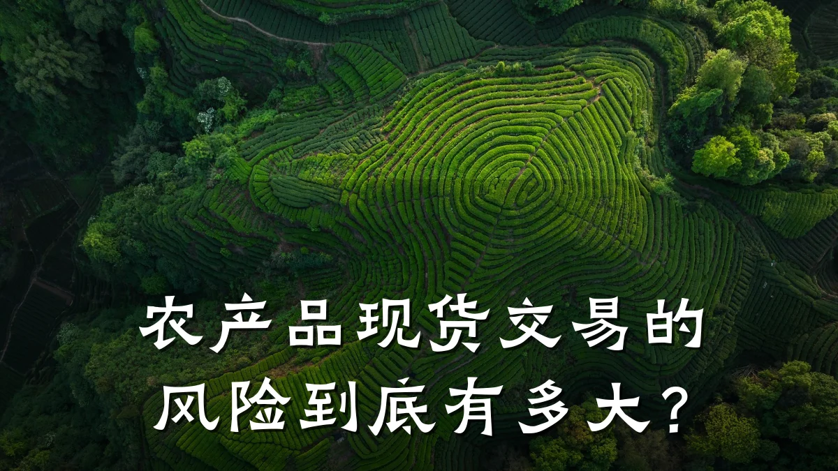 农产品现货交易的风险到底有多大？
