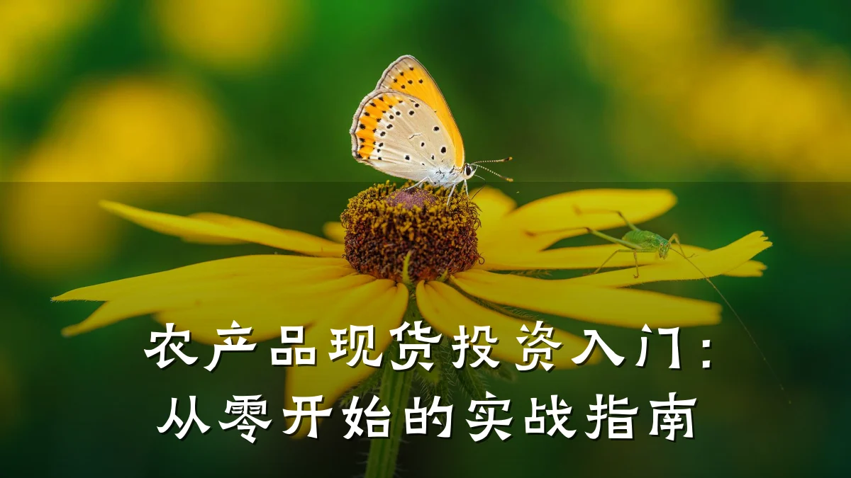 农产品现货投资入门:从零开始的实战指南