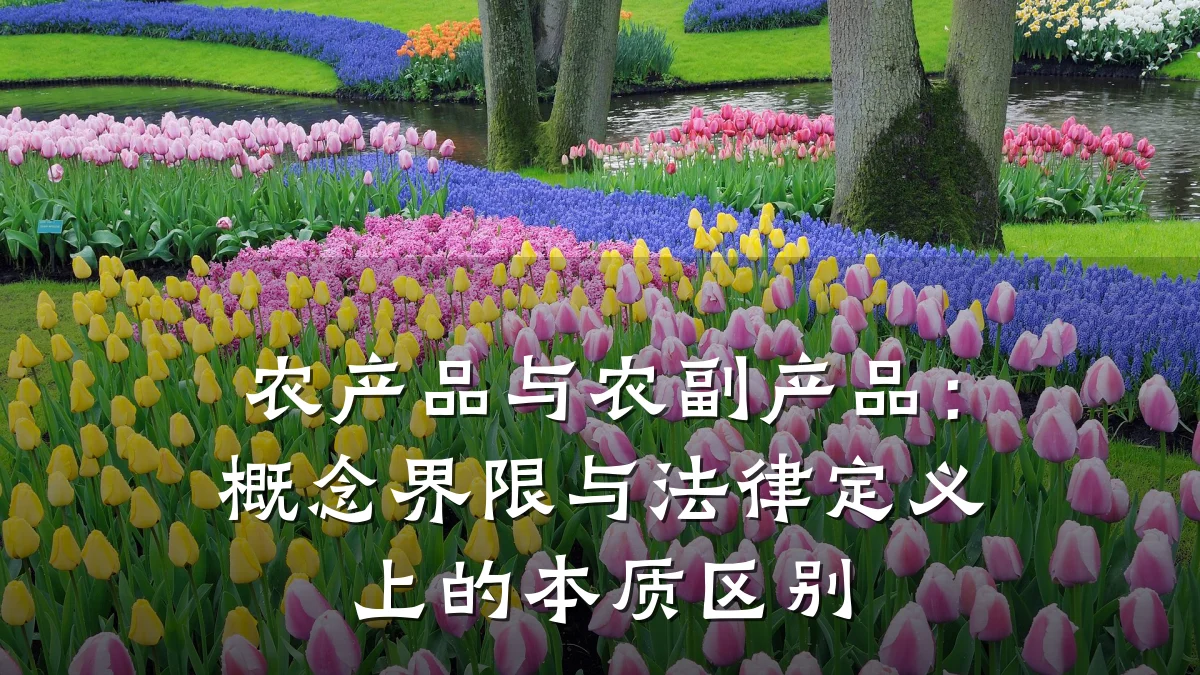 农产品与农副产品:概念界限与法律定义上的本质区别