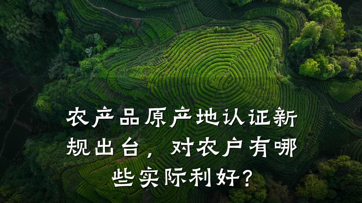 农产品原产地认证新规出台,对农户有哪些实际利好?