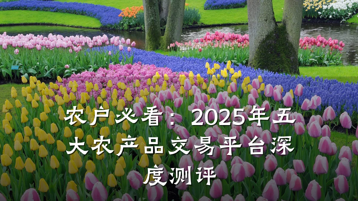农户必看:2025年五大农产品交易平台深度测评