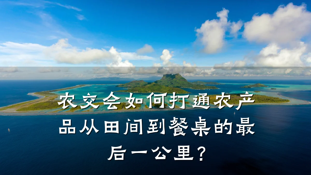 农交会如何打通农产品从田间到餐桌的最后一公里？