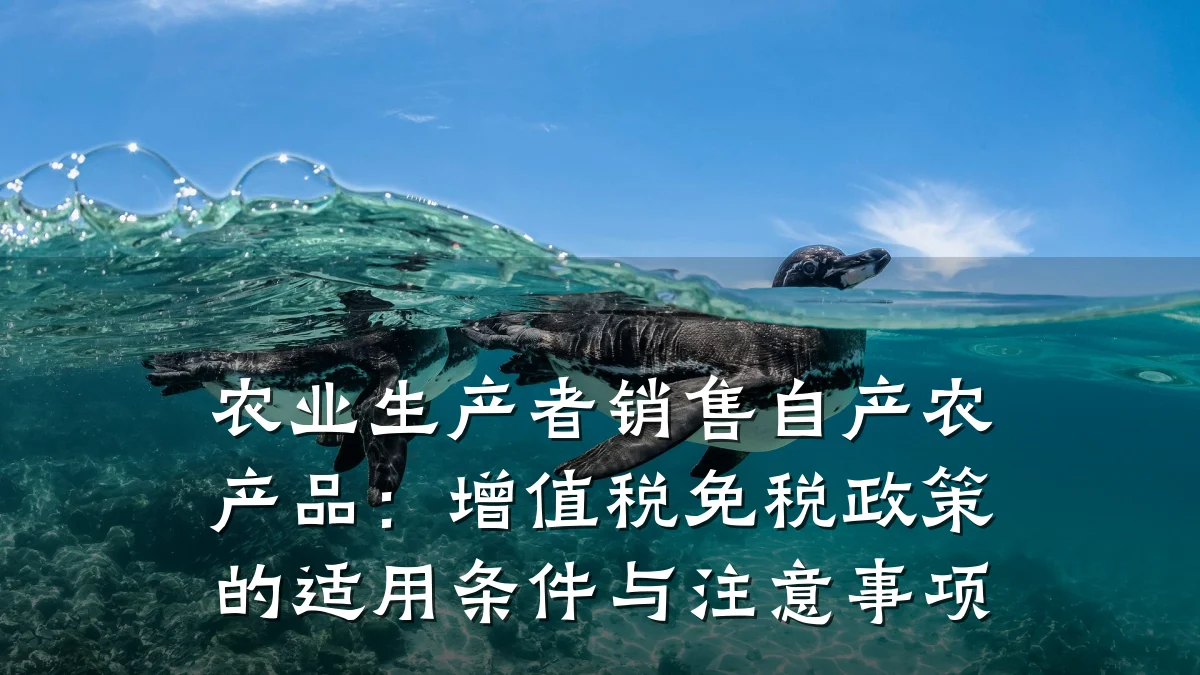 农业生产者销售自产农产品：增值税免税政策的适用条件与注意事项