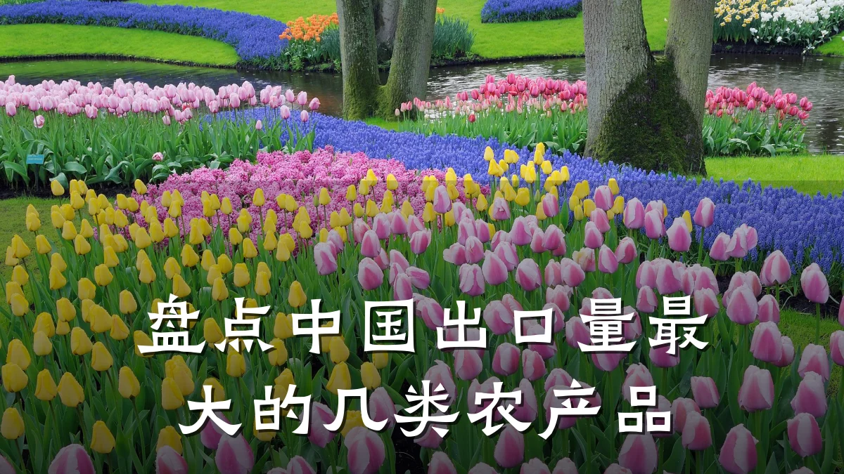 盘点中国出口量最大的几类农产品