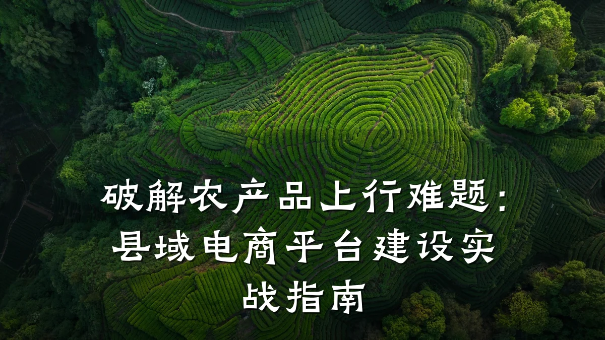 破解农产品上行难题：县域电商平台建设实战指南