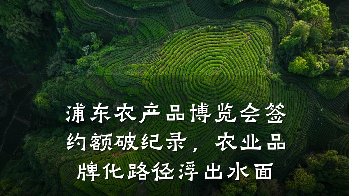 浦东农产品博览会签约额破纪录,农业品牌化路径浮出水面