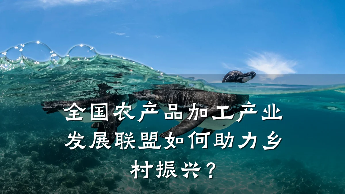全国农产品加工产业发展联盟如何助力乡村振兴?
