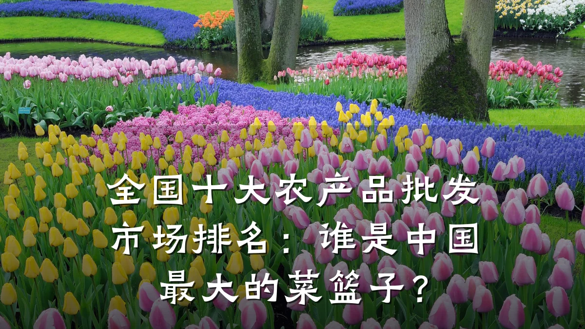 全国十大农产品批发市场排名：谁是中国最大的菜篮子？
