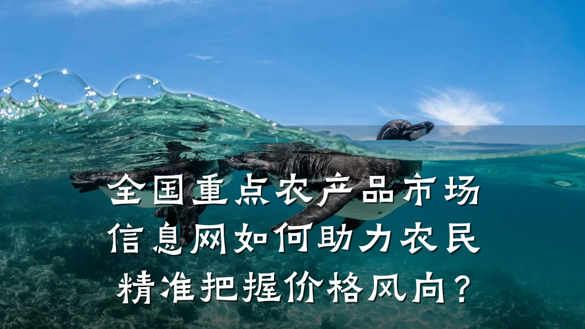 全国重点农产品市场信息网如何助力农民精准把握价格风向?