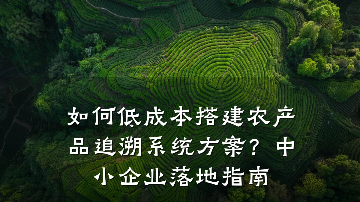如何低成本搭建农产品追溯系统方案?中小企业落地指南