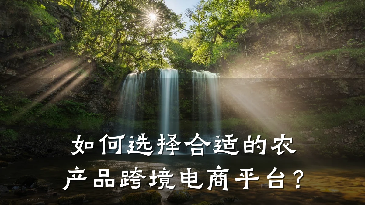 如何选择合适的农产品跨境电商平台？