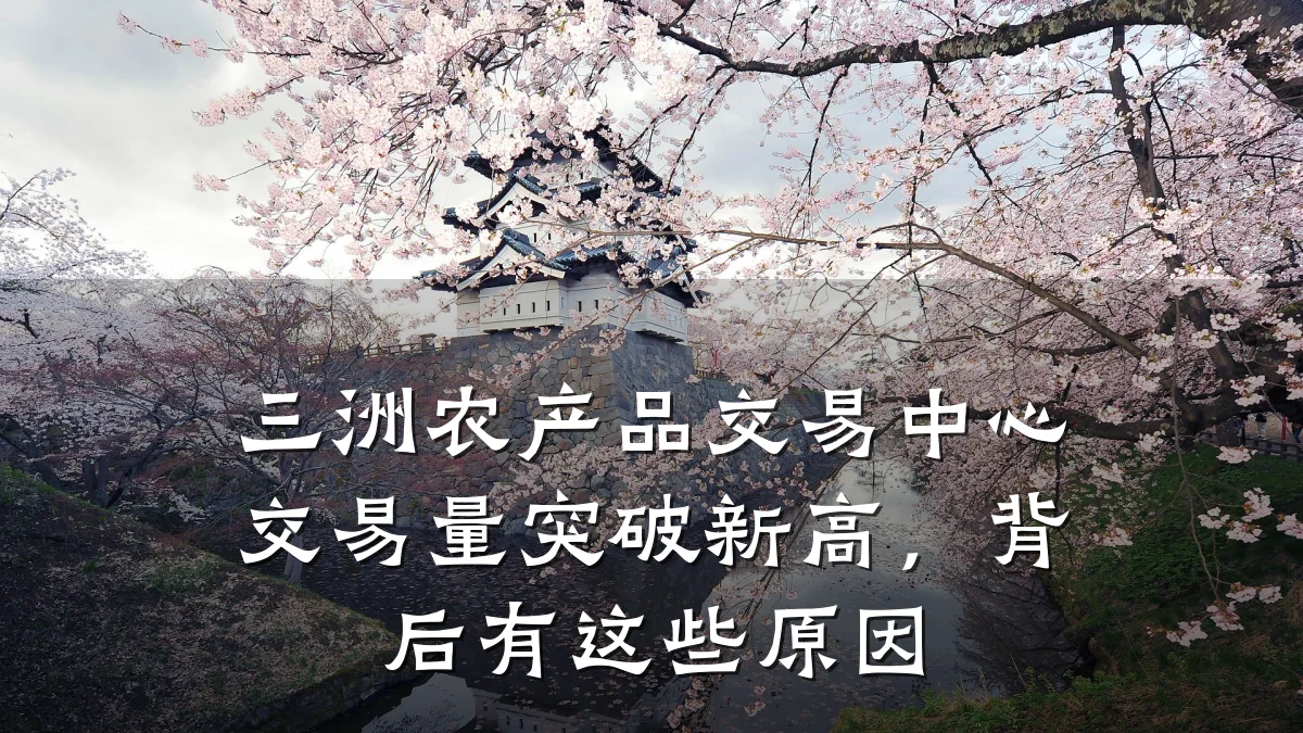 三洲农产品交易中心交易量突破新高,背后有这些原因