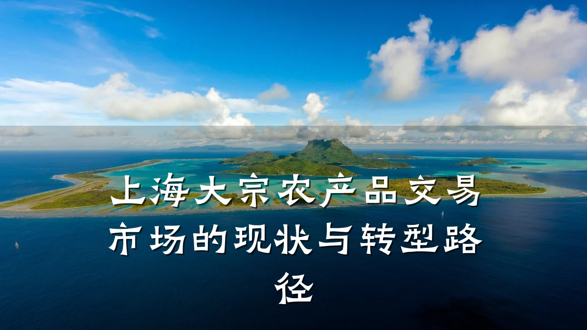 上海大宗农产品交易市场的现状与转型路径