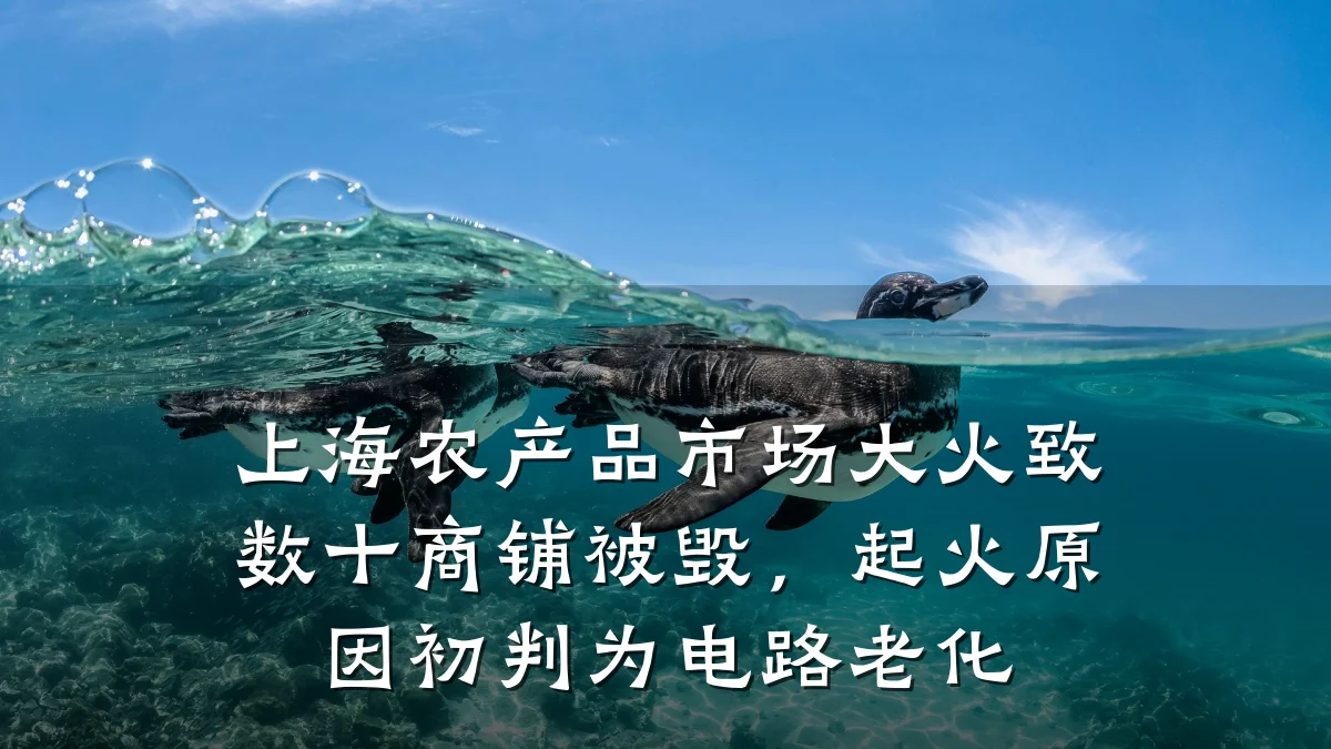 上海农产品市场大火致数十商铺被毁,起火原因初判为电路老化