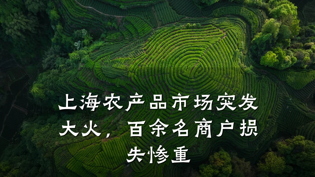 上海农产品市场突发大火,百余名商户损失惨重