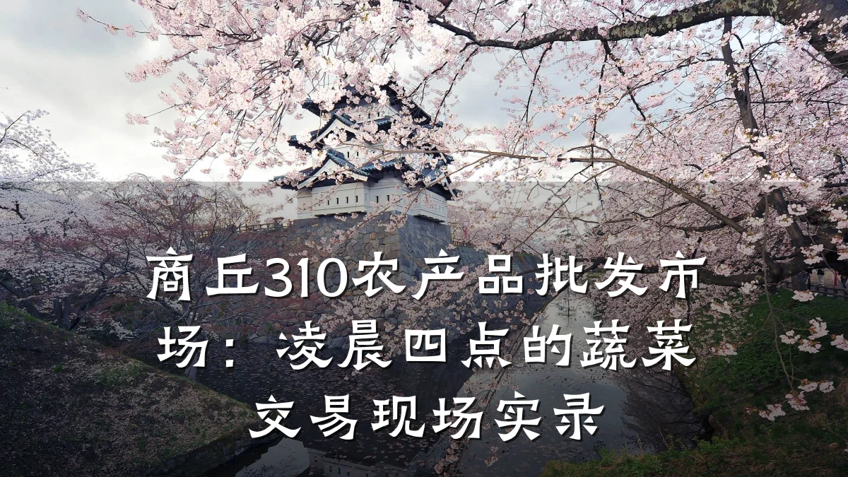 商丘310农产品批发市场:凌晨四点的蔬菜交易现场实录