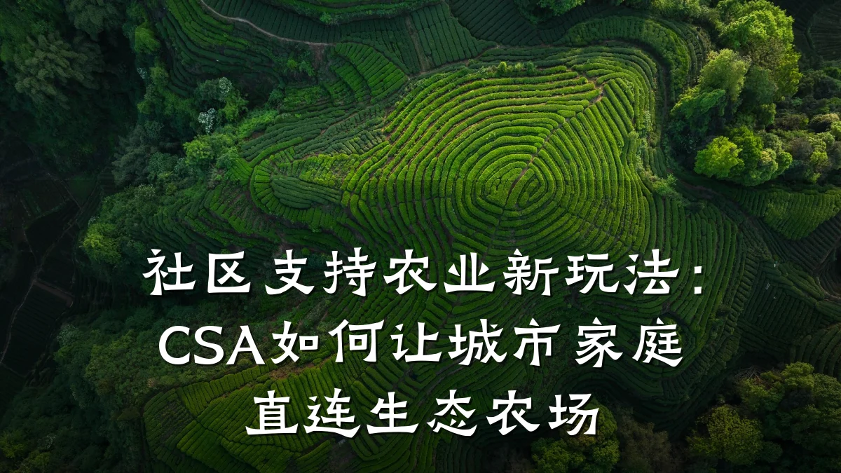 社区支持农业新玩法:CSA如何让城市家庭直连生态农场