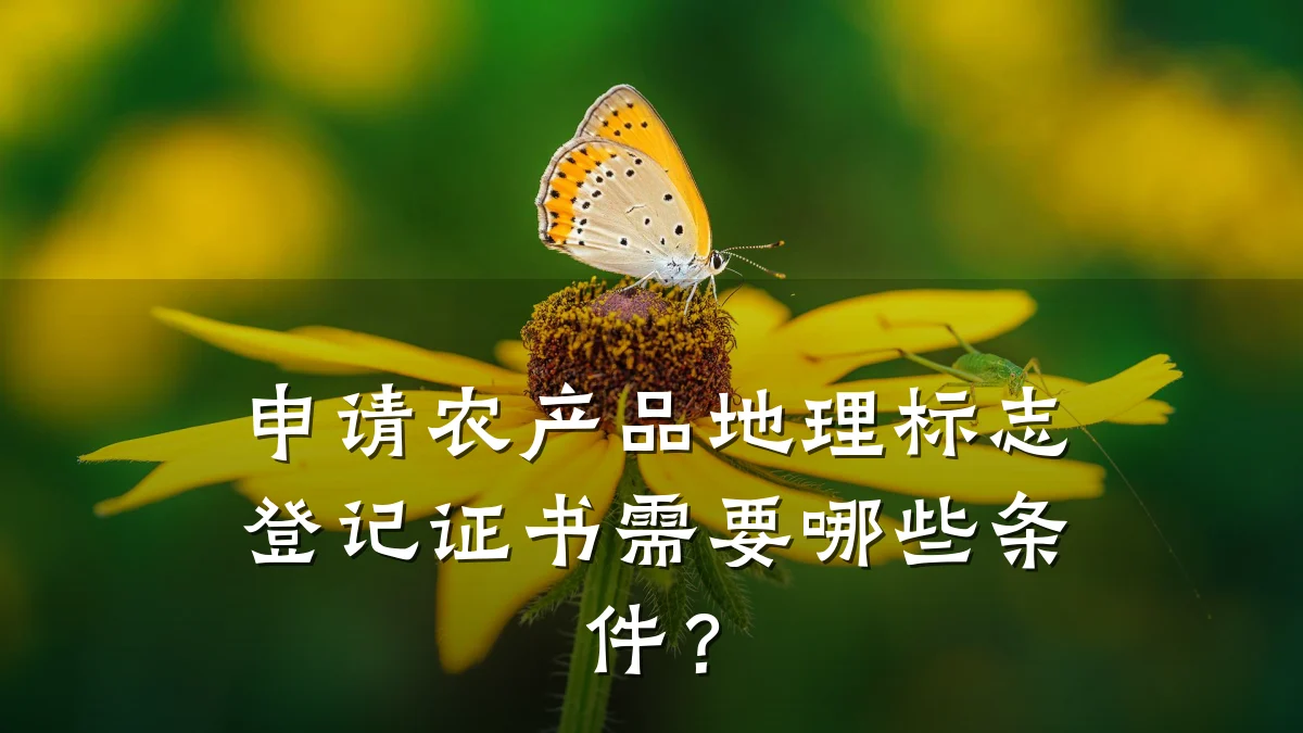 申请农产品地理标志登记证书需要哪些条件？