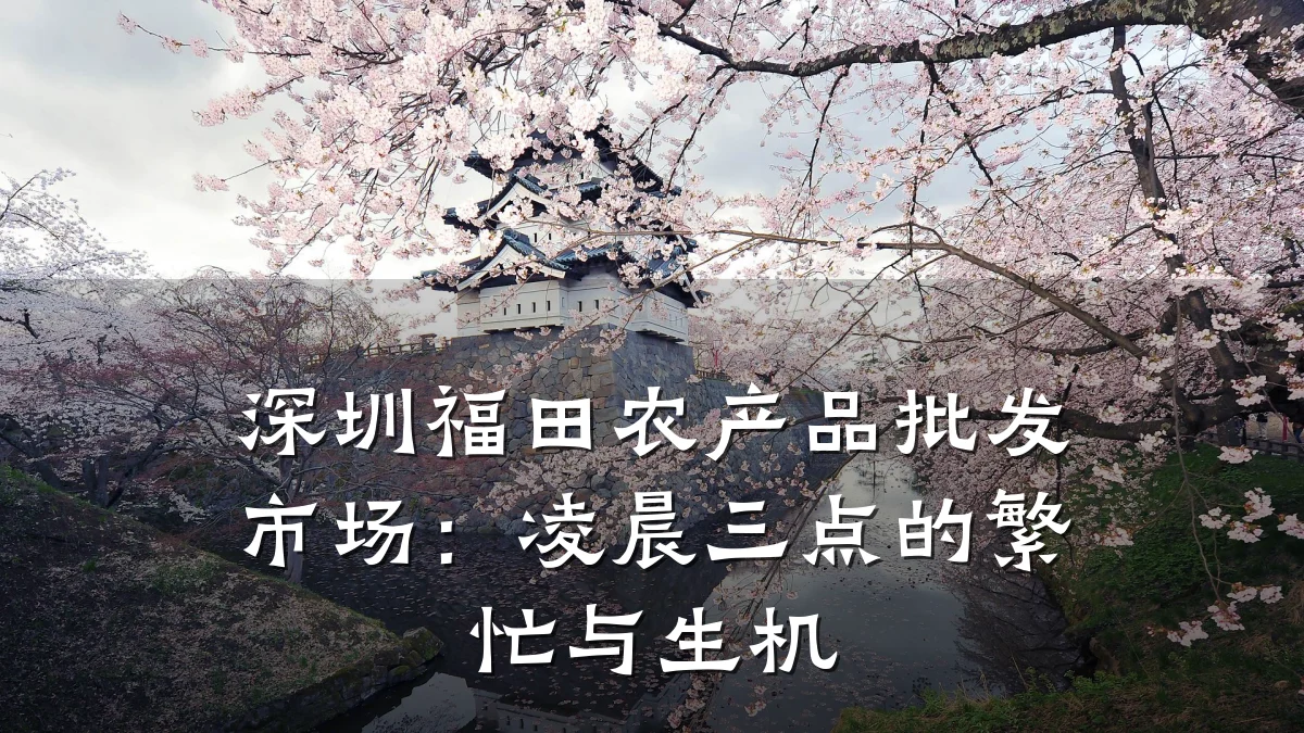深圳福田农产品批发市场:凌晨三点的繁忙与生机