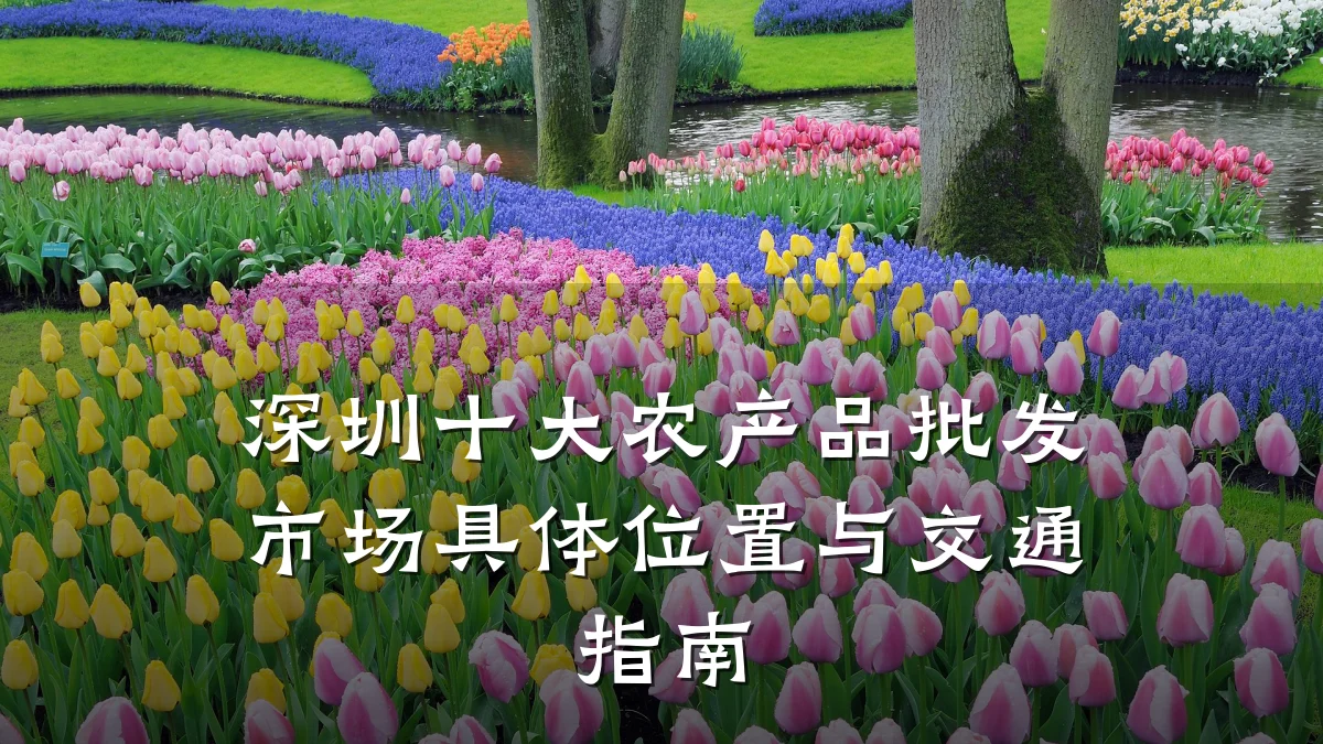 深圳十大农产品批发市场具体位置与交通指南