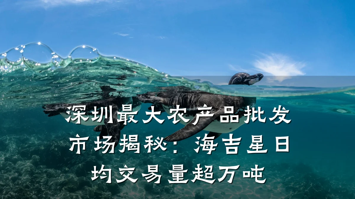 深圳最大农产品批发市场揭秘:海吉星日均交易量超万吨
