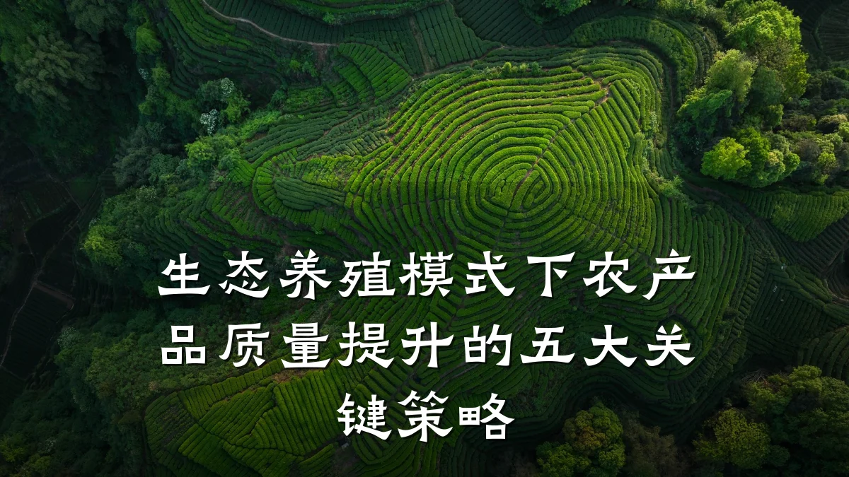 生态养殖模式下农产品质量提升的五大关键策略
