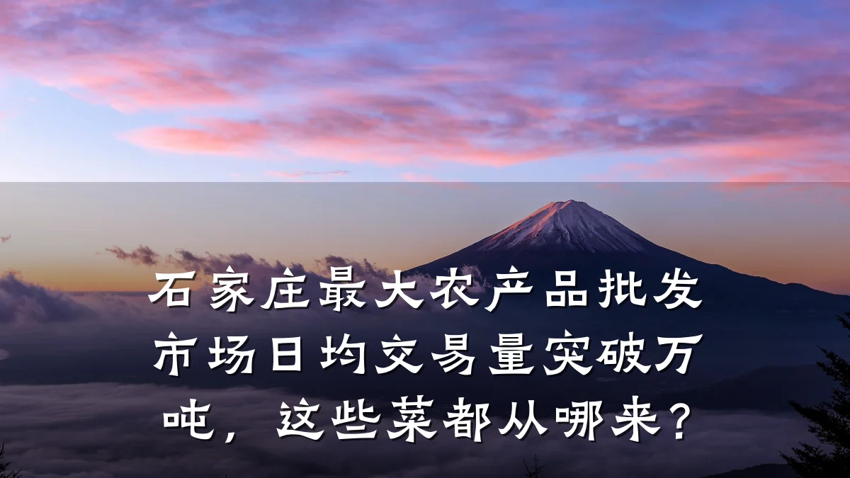 石家庄最大农产品批发市场日均交易量突破万吨,这些菜都从哪来?