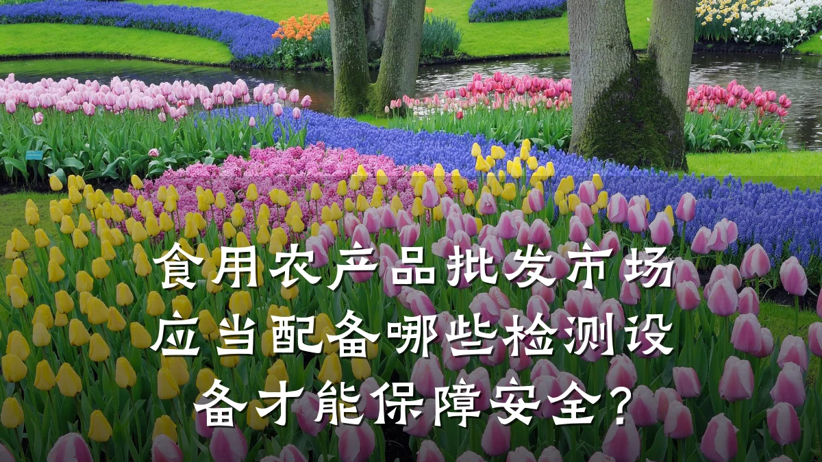 食用农产品批发市场应当配备哪些检测设备才能保障安全？