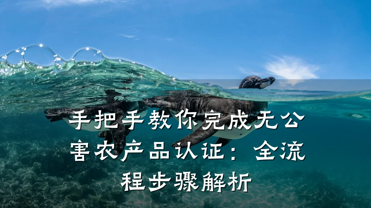 手把手教你完成无公害农产品认证:全流程步骤解析